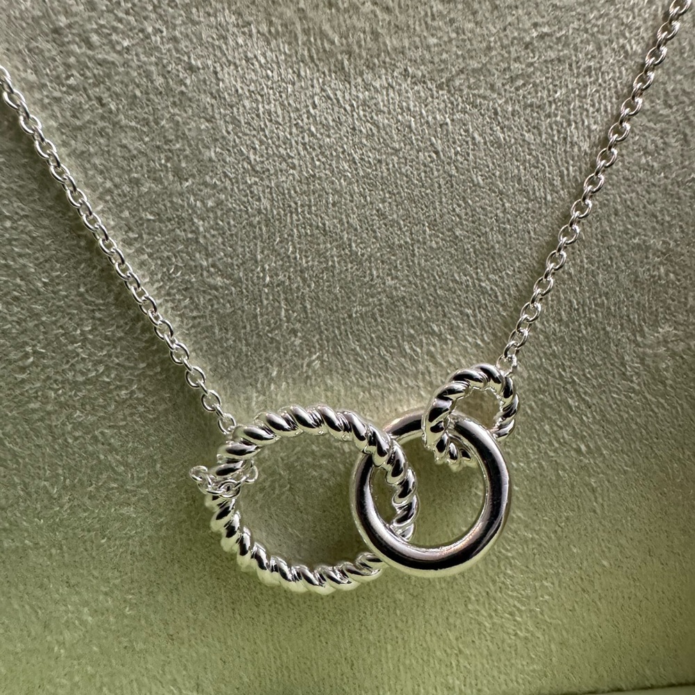NEW IN BOX Elegant Silver Interlocking Circles Necklace - Picture 14 of 15